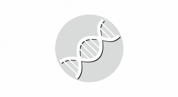 Icon DNA_k